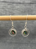 Paua Shell Circles Earring
