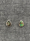 Paua Shell Pear Studs