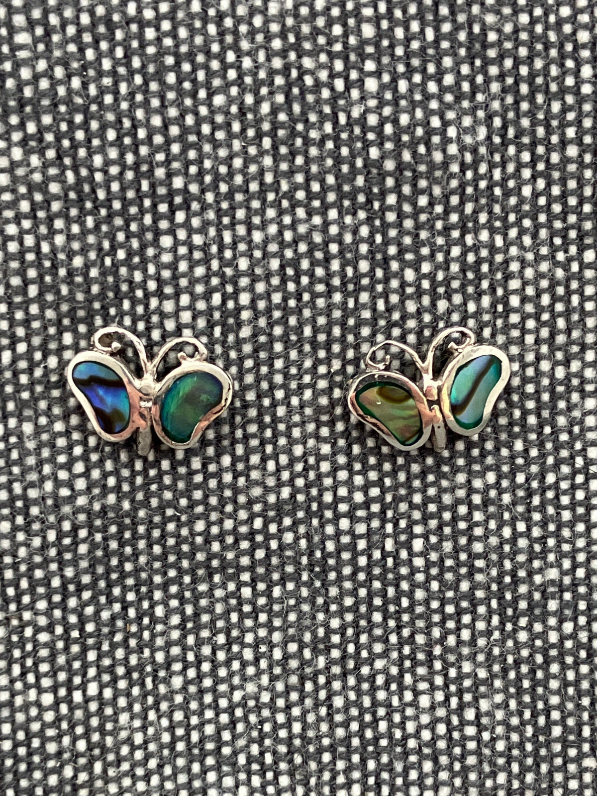 Paua Butterfly Studs