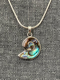 Paua Shell Ammonite Pendant