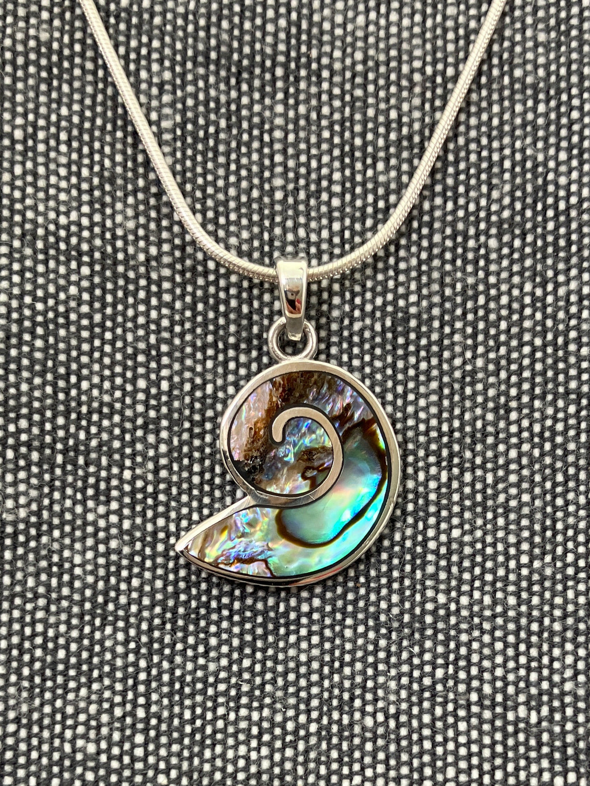 Paua Shell Ammonite Pendant