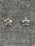 Sea Turtle Paua Shell Studs
