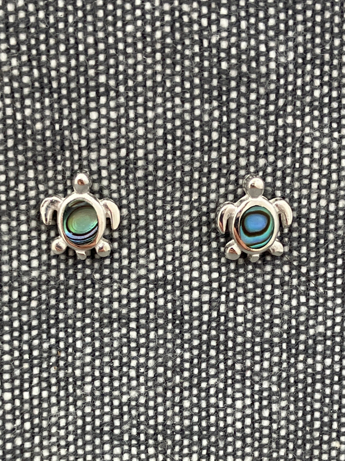 Sea Turtle Paua Shell Studs