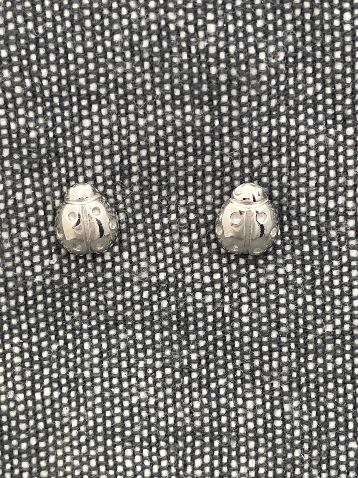 Ladybird Studs