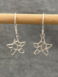 Squiggly Star Earrings