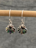 Paua Shell Scallop Earrings