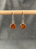 Amber Little Round Earrings