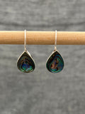 Paua Shell Fixed Hook Earrings