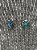 Paua Shell Oval Studs