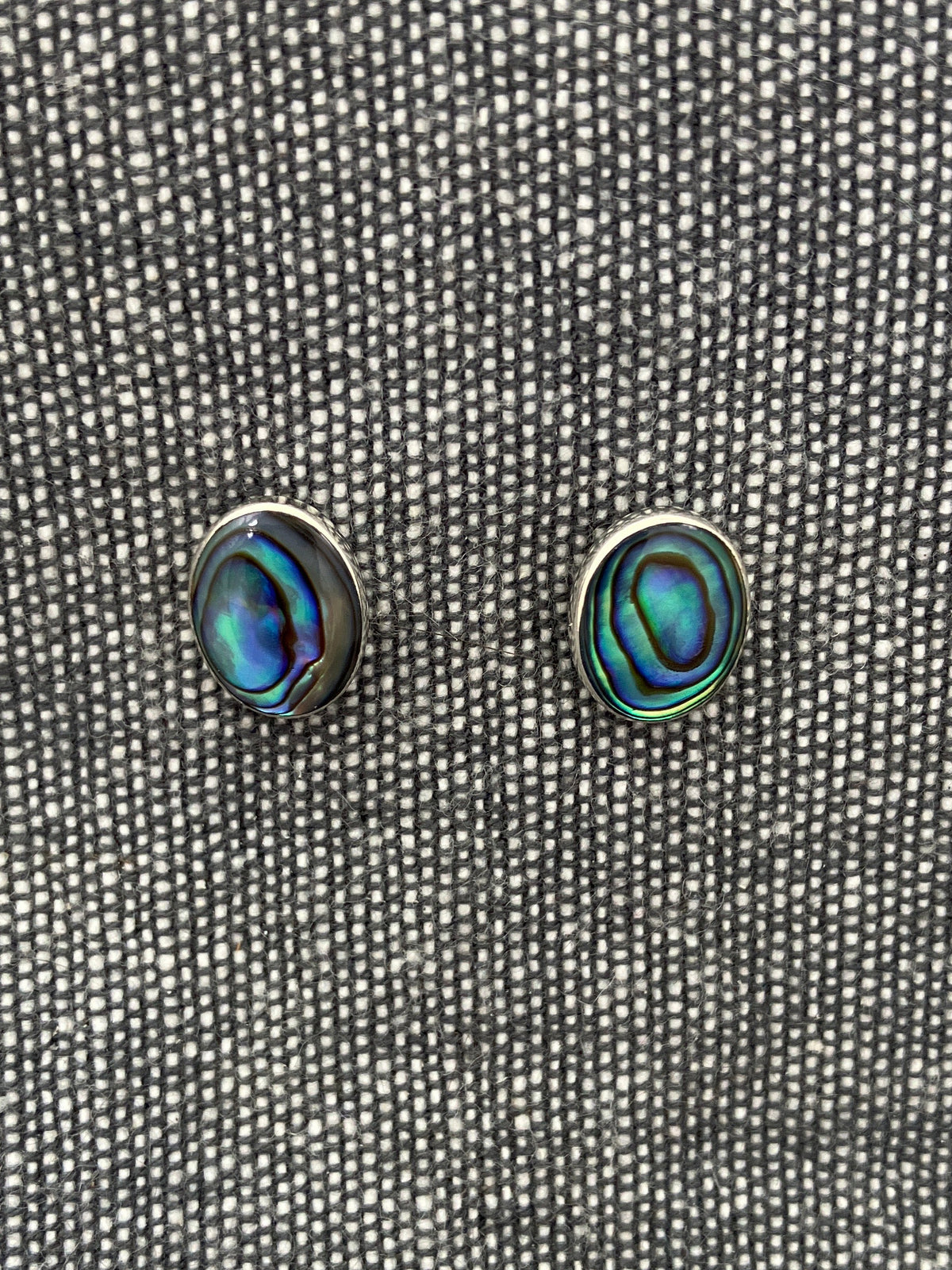 Paua Shell Oval Studs