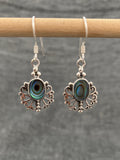 Paua Shell Curly Earrings