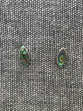 Paua Shell Marquise Studs