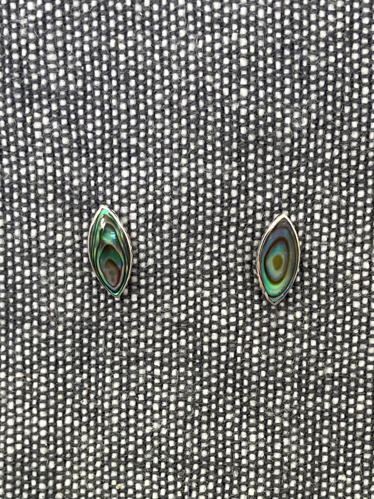 Paua Shell Marquise Studs