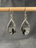 Pinolith Jasper Pear Earrings