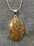 Ammonite Oval Pendant